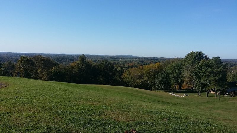 Appleknocker Roots And Orchard Identity