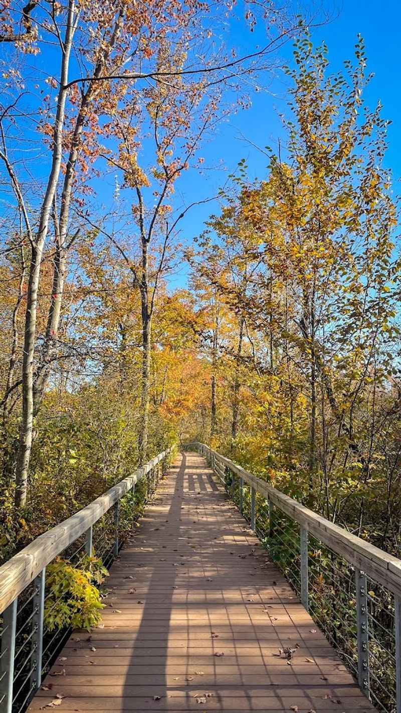 The Boardwalk Experience That Makes You Feel Like You Are Floating