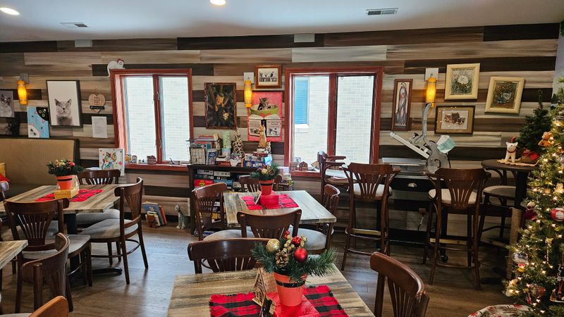 A Coffee Shop That Actually Cares About Quality Drinks