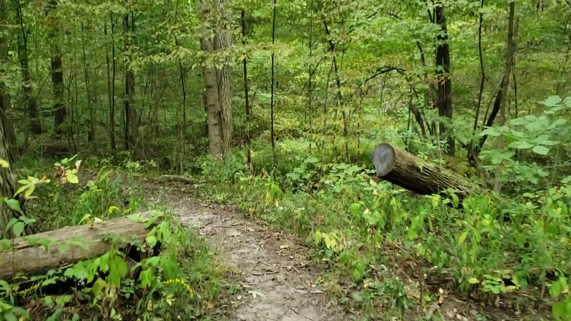 A Short Loop Trail Perfect for All Energy Levels