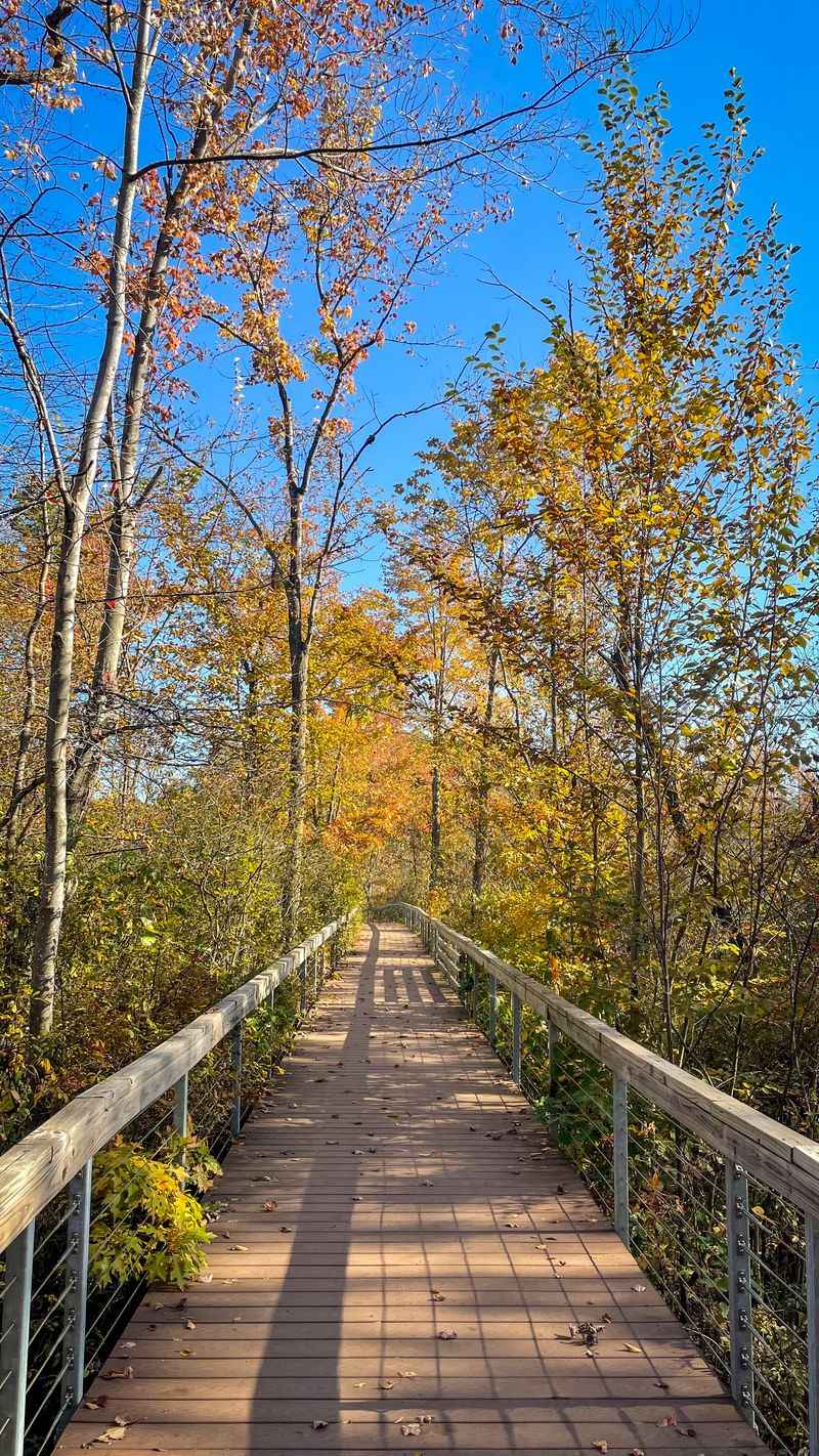 A Rare Fen Ecosystem Found Almost Nowhere Else