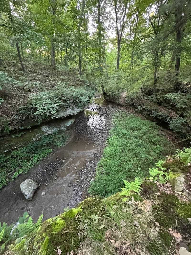 The Sandstone Ravine That Carries Centuries of History