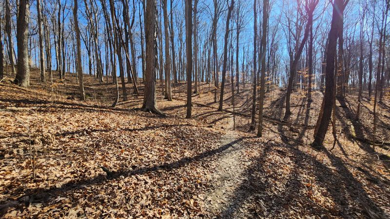 Trails That Change With Every Season