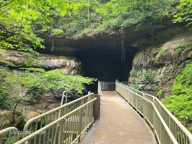 The Secret Cave System Hiding Right Under the Park