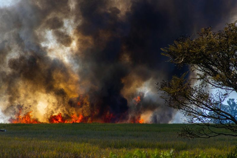 Wildfire Risk Skyrockets In Dry Conditions