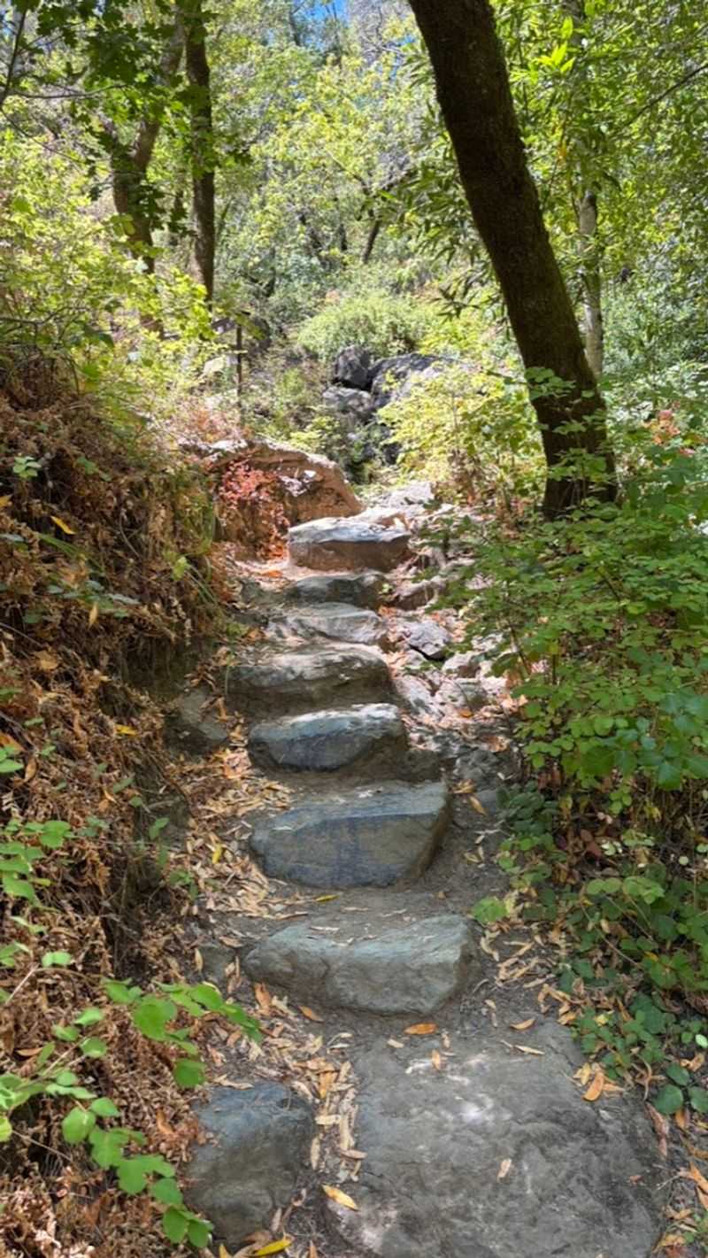 Two Trail Routes Mean Everyone Stays Happy