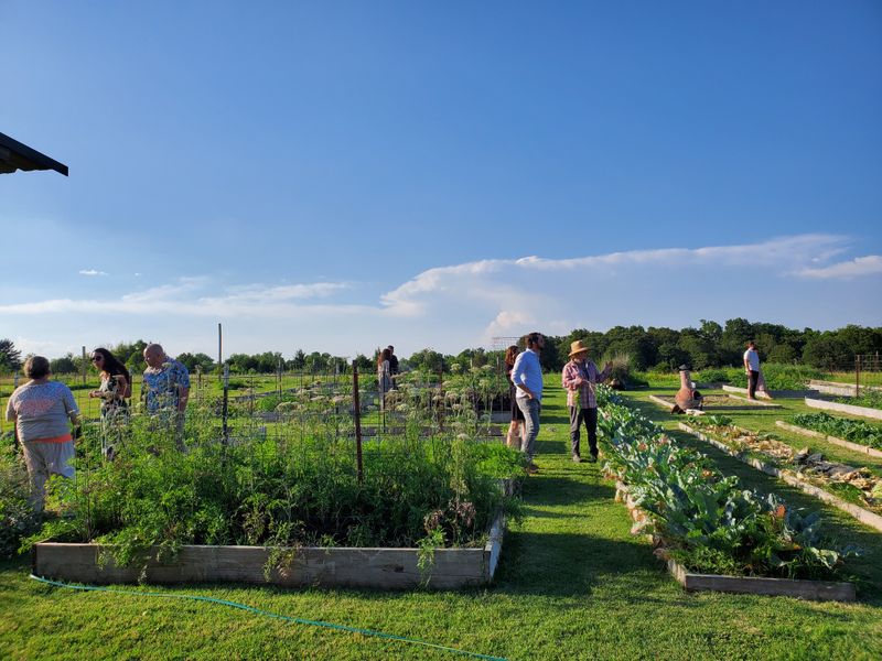 A Working Farm That Feeds Its Guests