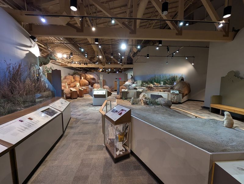 The Visitor Center That Actually Delivers