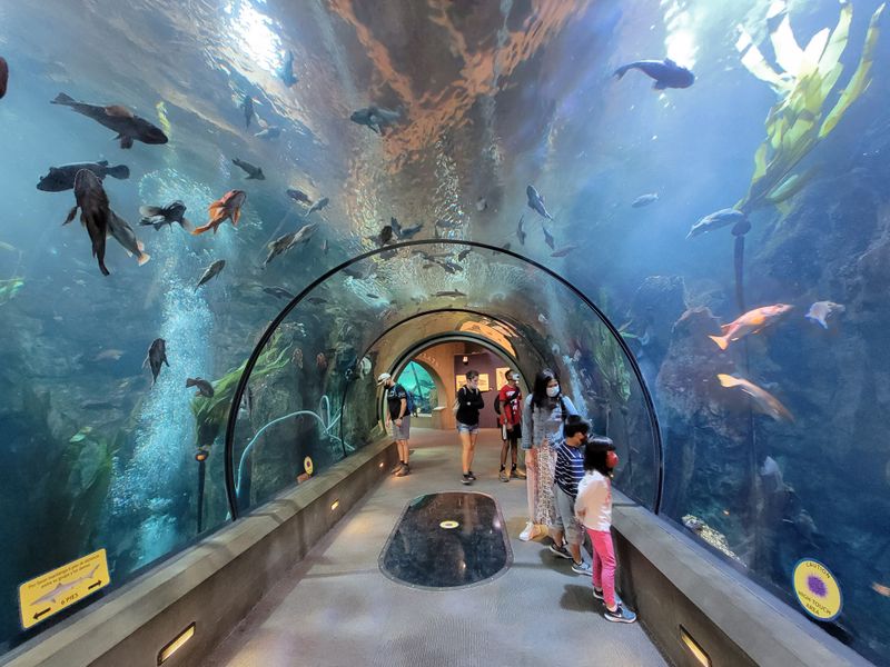 Passage of the Deep Tunnel