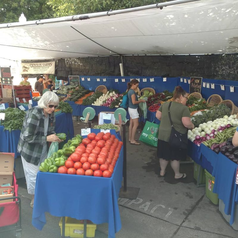 The Saturday Market Experience: What Makes It Worth the Early Wake-Up
