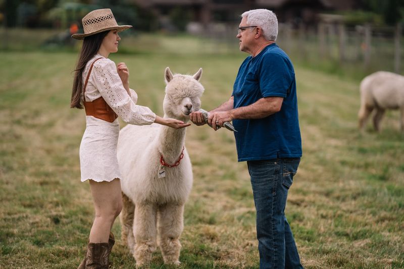The Alpacas Themselves: Oregon's Fluffiest Hosts
