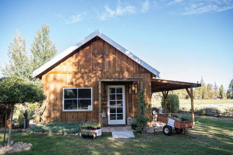 A Family Legacy Rooted in Love and Lavender