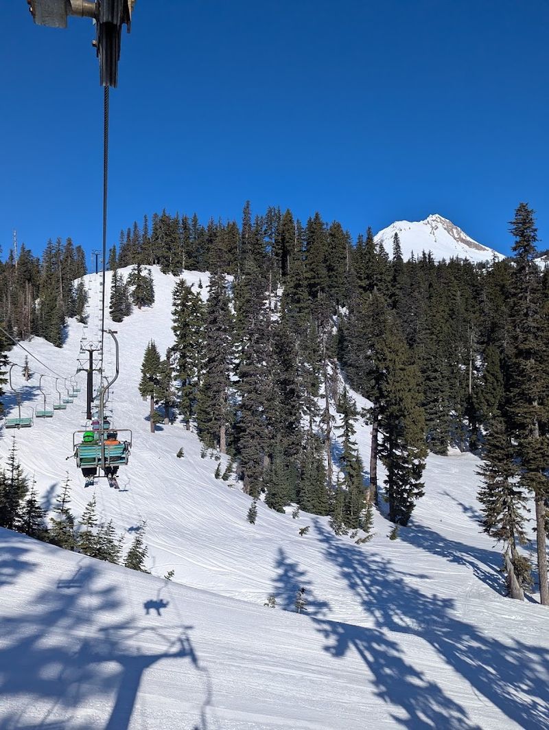 Soaring to 7,300 Feet Above Sea Level