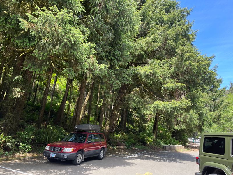 The Trailhead That Doesn't Show Off