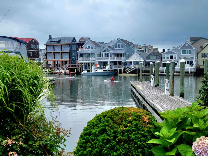 The Commercial Powerhouse Behind the Beauty