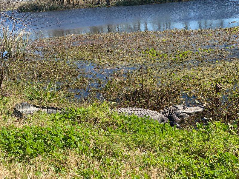 Hands-On Experience at the Nature Center
