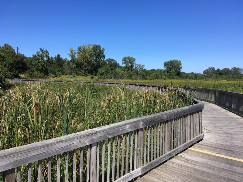 Miles of Peaceful Trails Wind Through Pristine Wetlands