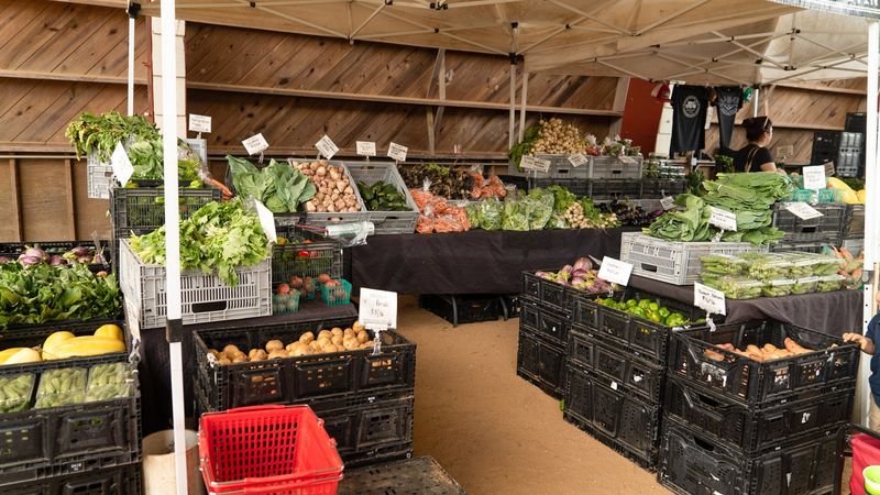 Fresh Local Produce That Actually Tastes Like Something