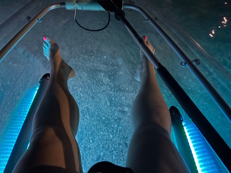 Water So Clear You Can Count Scales on Fish