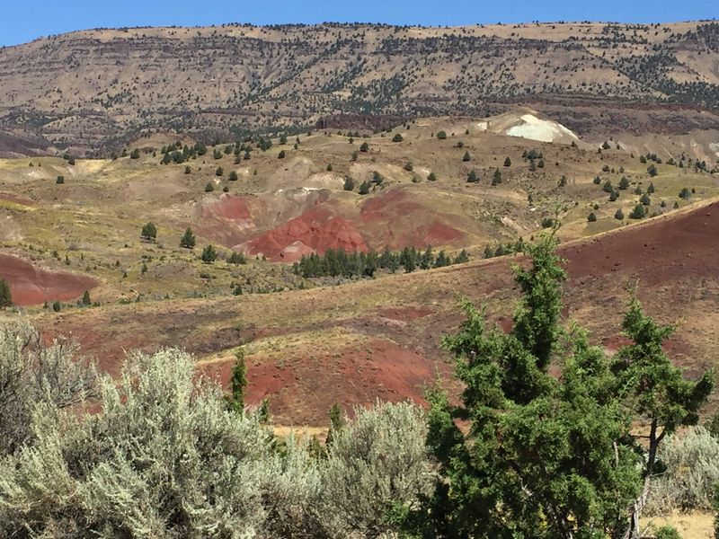 Ancient Landscapes Preserved in Stone