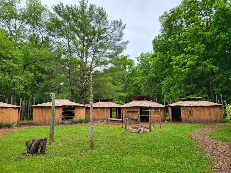 A Living Timeline Frozen in the Mountains