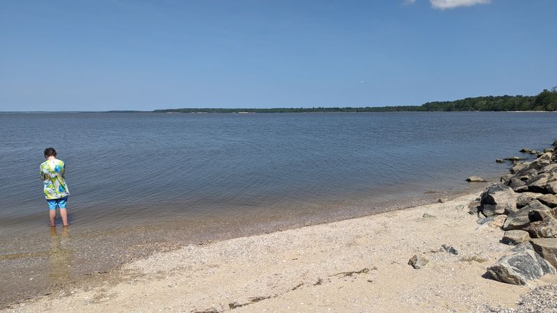 Fossil Beach Tells Stories Millions of Years Old