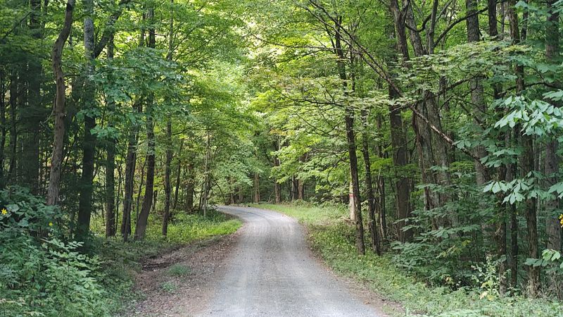 The Journey Up Is Half The Adventure