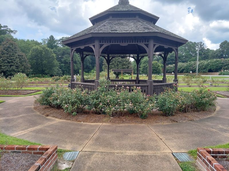 The Rose Garden Stroll That Feels Like A Secret You Stumbled Into