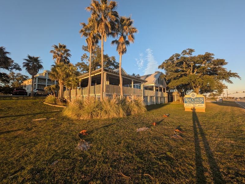 Bacchus On The Beach, Pass Christian