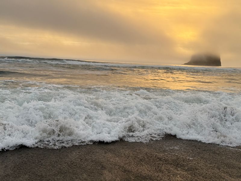 Environmental Damage Spreads Across Sensitive Habitats