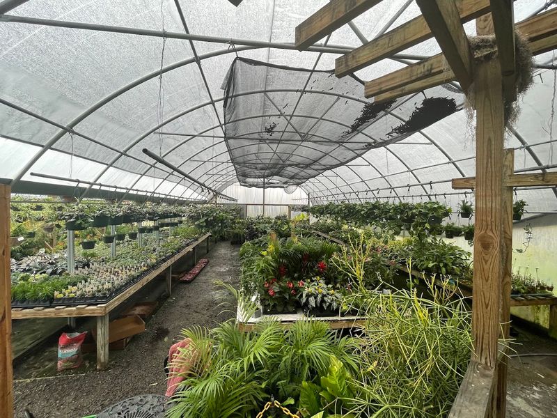 Expert Gardening Advice From People Who Actually Know Plants