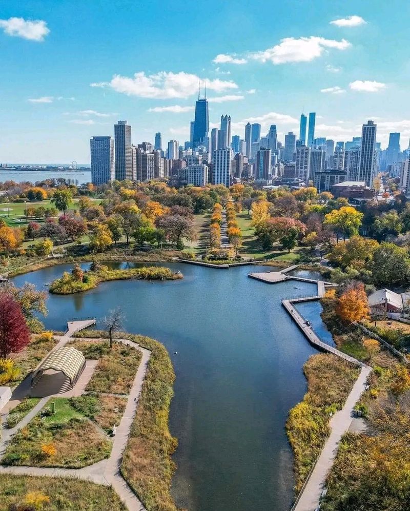 Lincoln Park Freer Zoo Attractions