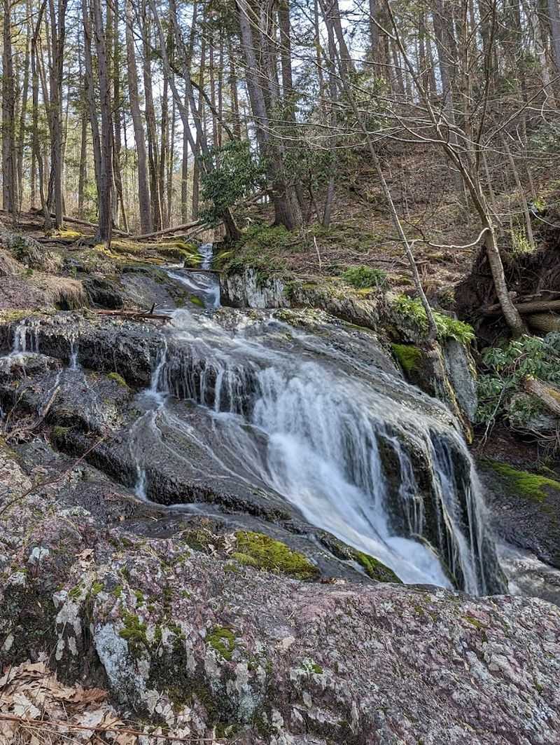 Silver Spray Falls: The Hidden Gem You Almost Miss