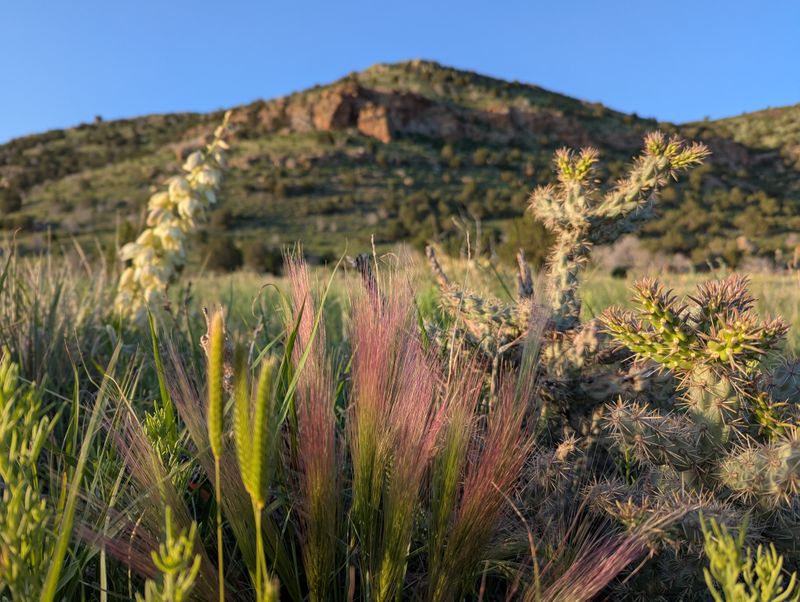 Water Strategy for Desert Hiking