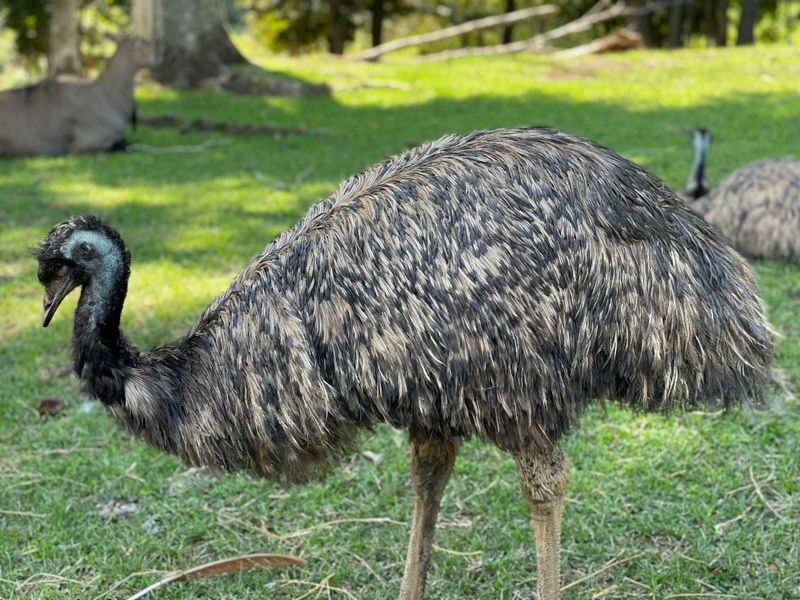 Conservation Efforts Support Endangered Species Protection