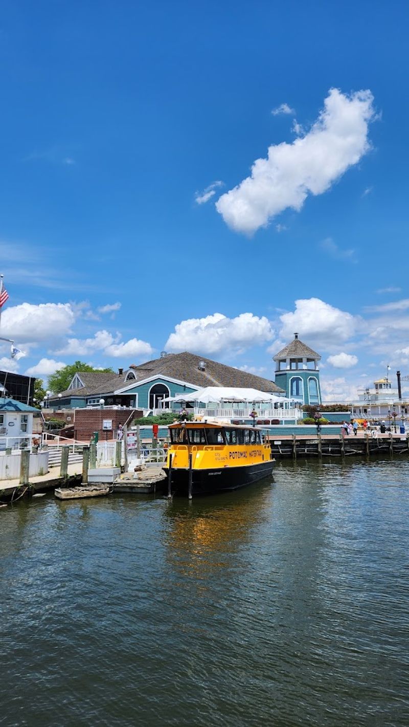 Old Town Alexandria Waterfront Blends Views with Vibes