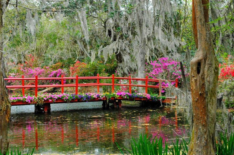 Magnolia Plantation And Gardens 