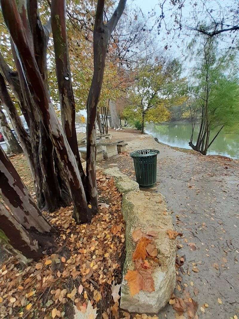 Easy Walking Trails for Every Skill Level