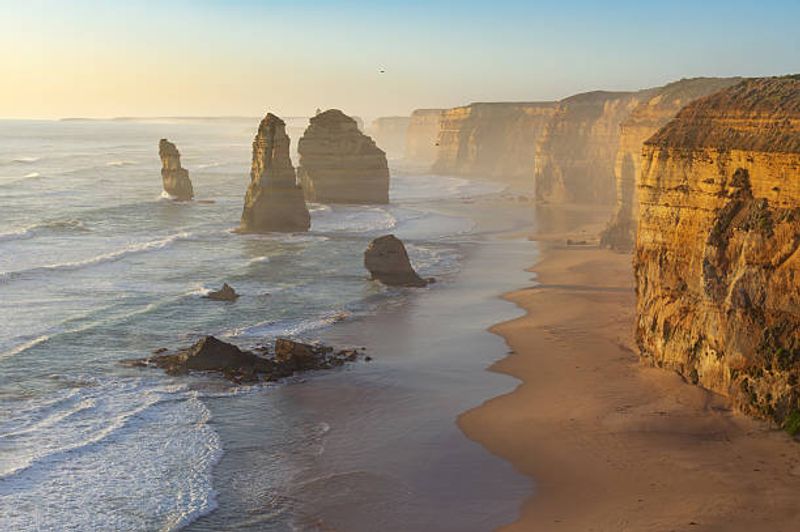 Where Did All the Quiet Mornings Go