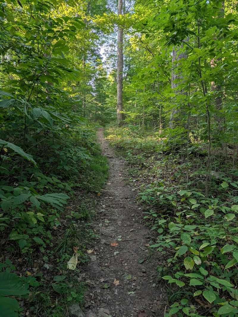 Oppenheim Woods Trail (The Nature Conservancy)