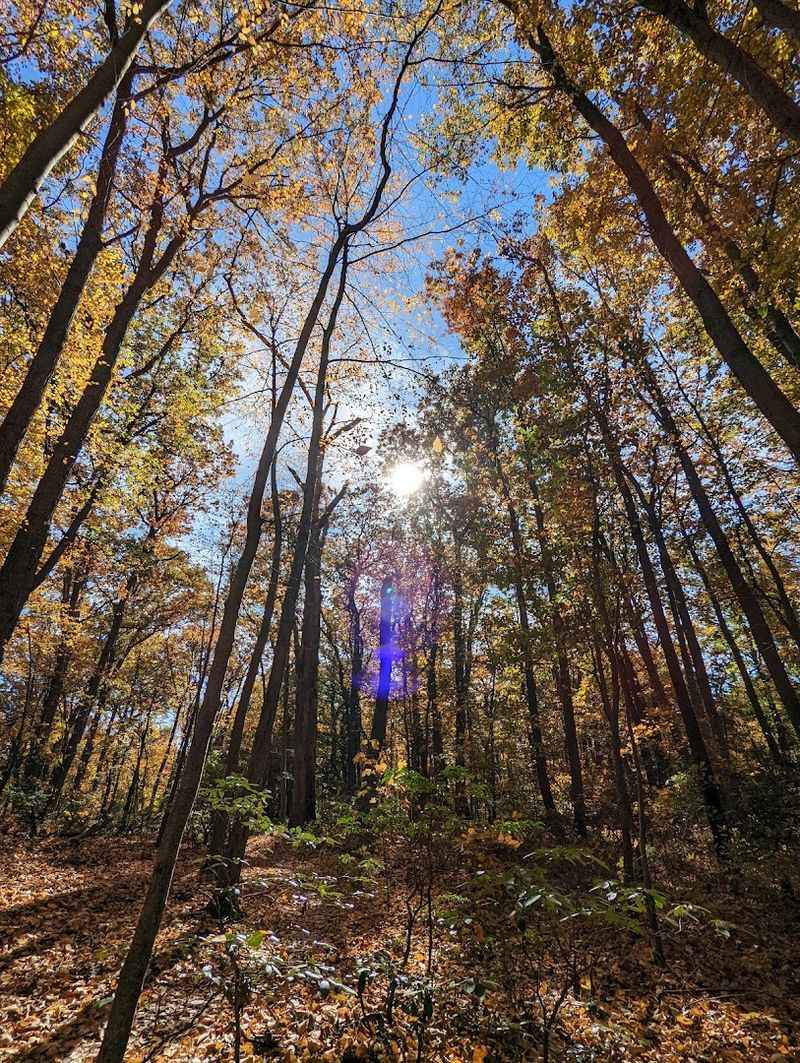 Seasonal Changes That Transform the Entire Experience