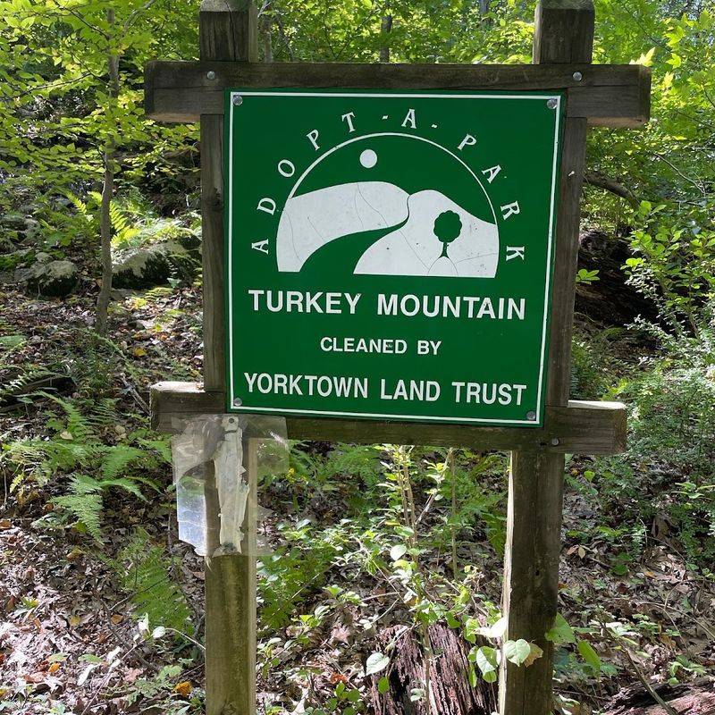 Litter Is Becoming A Real Problem