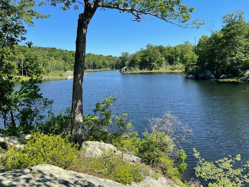 Parking Strategy: Getting It Right Before You Start