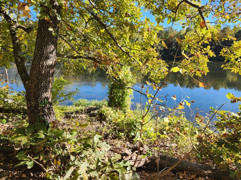 Accessibility Makes This Trail Inclusive