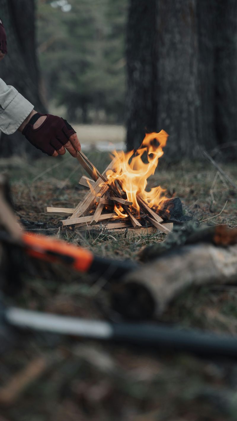 Campfire Choices That Cause The Biggest Problems Fast