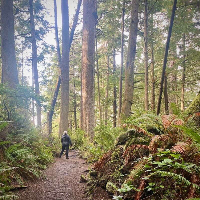 Essential Gear and Safety Tips