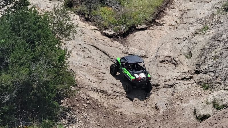 Rock Gardens That Mean Business