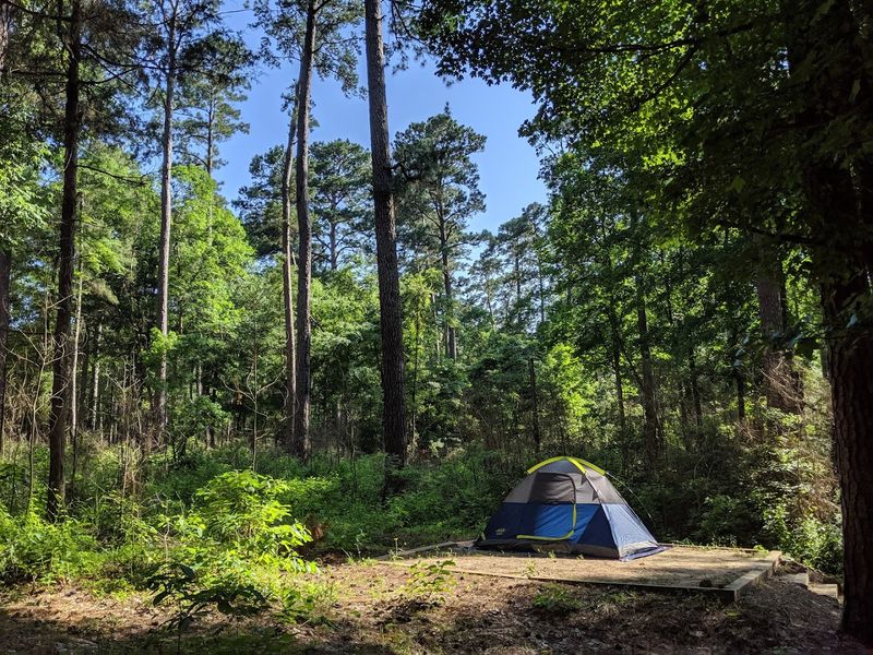 Camping Under a Sky Full of Stars
