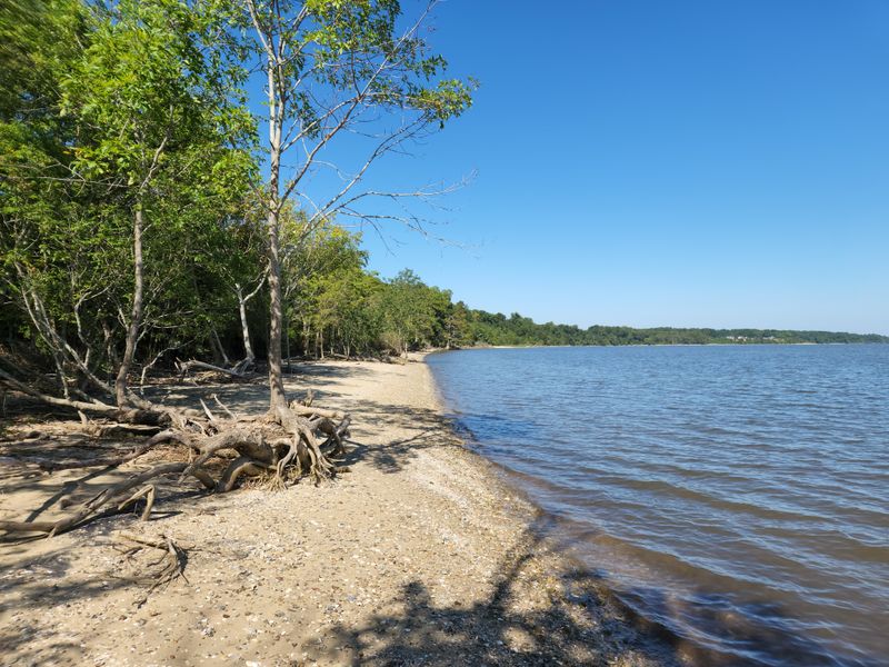 Campground Offers Riverside Relaxation