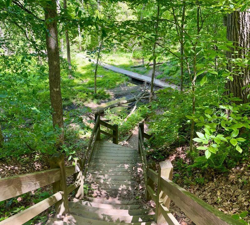 Accessible Yet Challenging Enough to Feel Rewarding